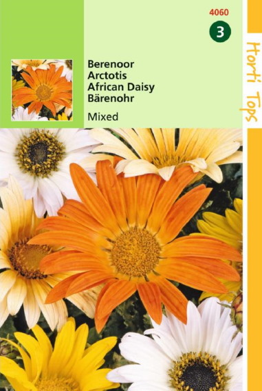 African Daisy Harlequin mix (Arctotis acaulis) 60 seeds HT
